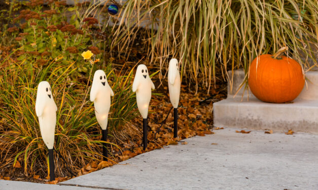 Quelles sont les décorations d’Halloween les plus populaires ?